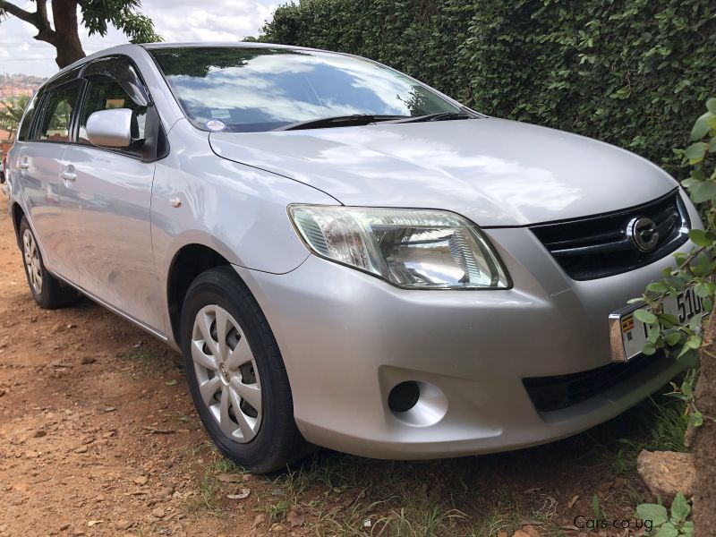 Toyota Fielder in Uganda