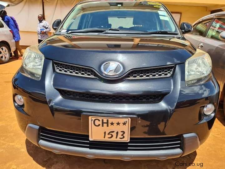 Toyota IST in Uganda