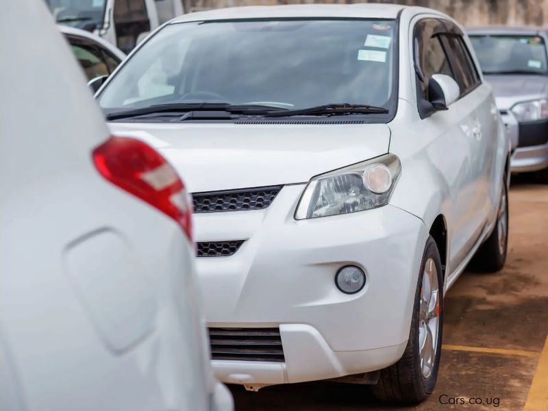 Toyota IST in Uganda