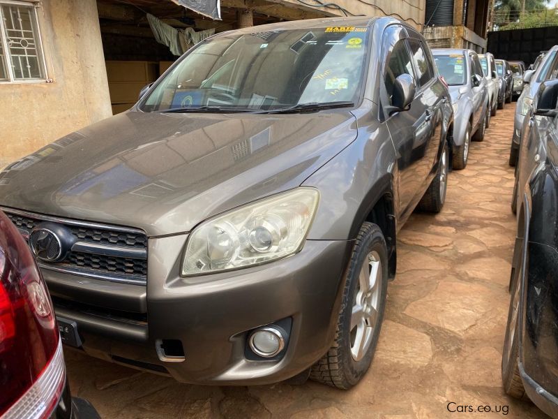 Toyota RAV 4 in Uganda