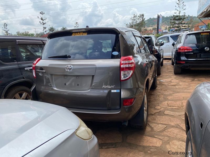 Toyota RAV 4 in Uganda