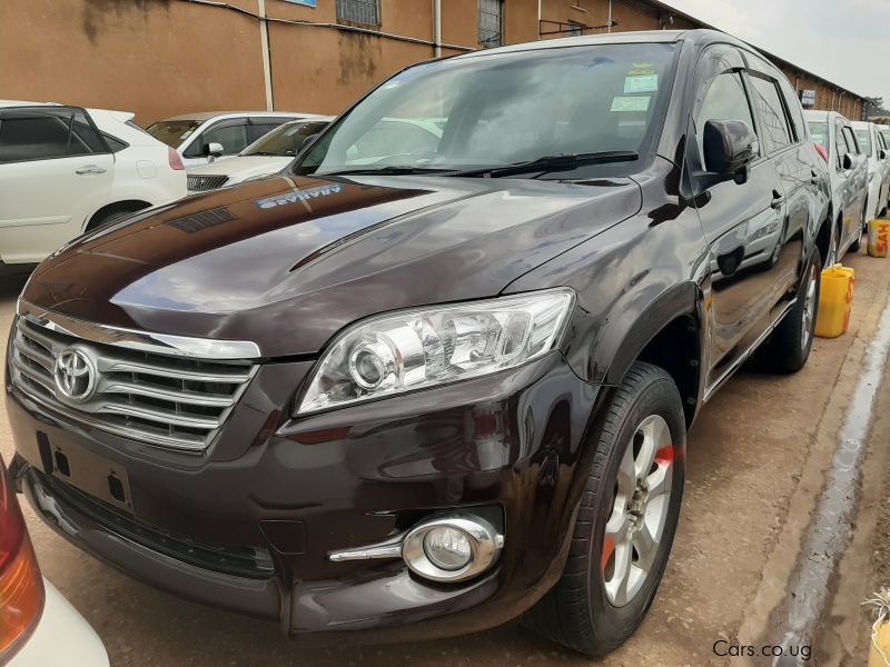 Toyota Vanguard in Uganda