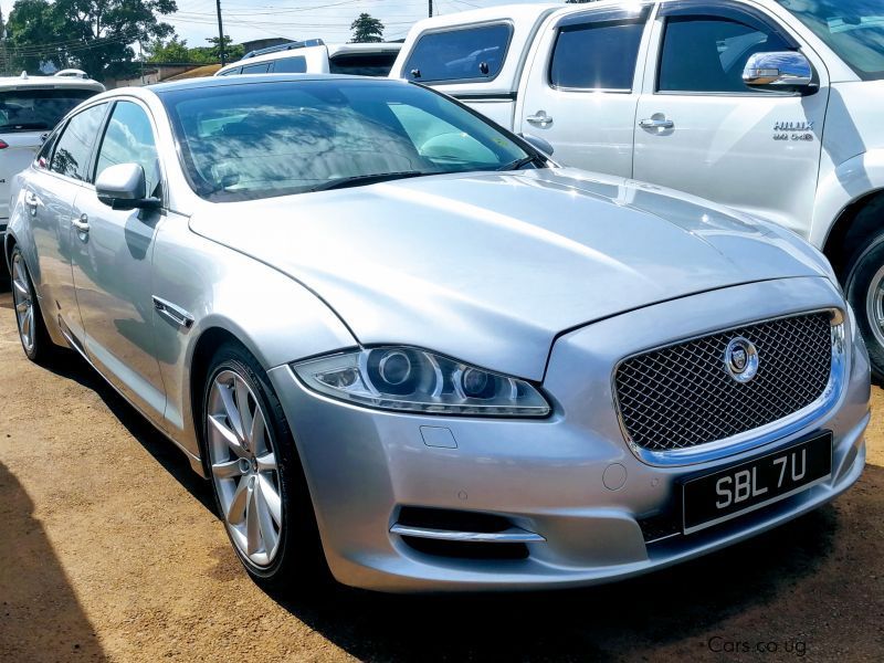 Jaguar xlt in Uganda