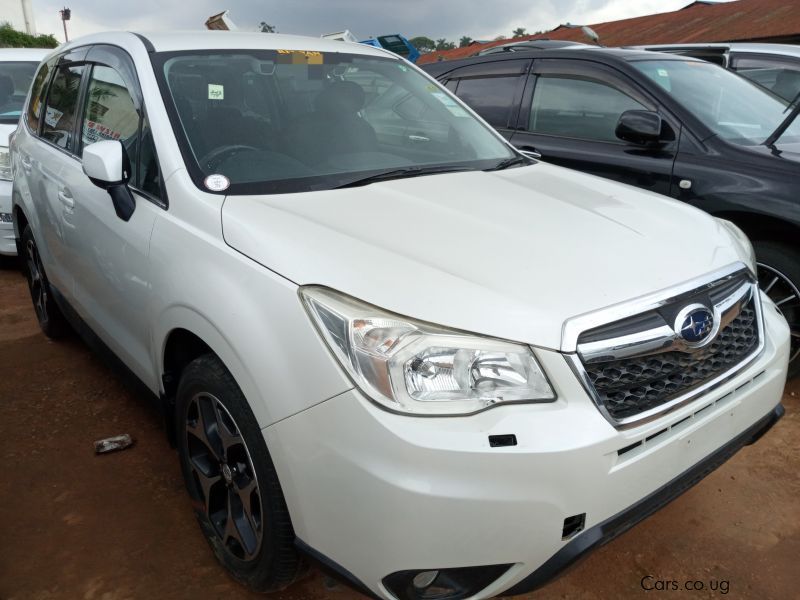 Subaru FORESTER  in Uganda