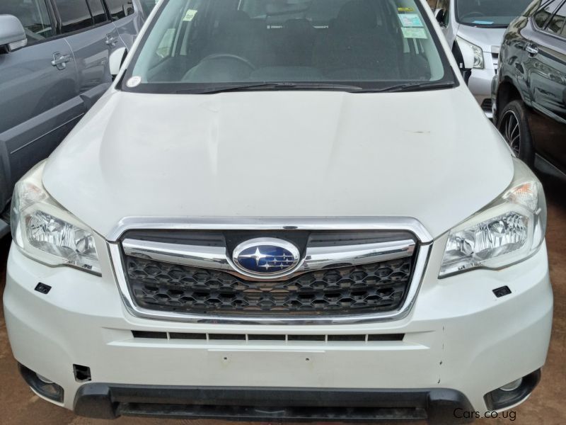 Subaru FORESTER  in Uganda