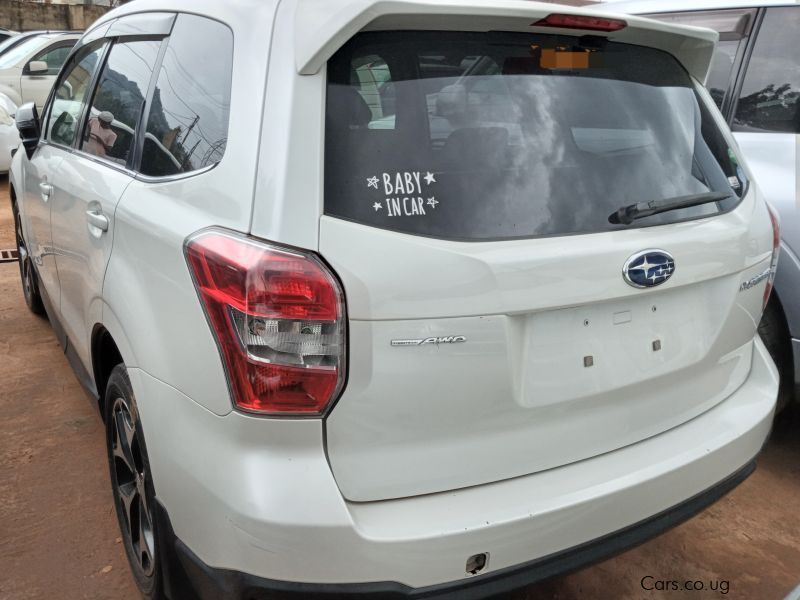 Subaru FORESTER  in Uganda