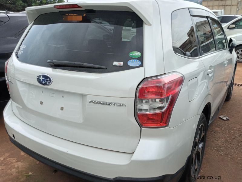 Subaru FORESTER  in Uganda