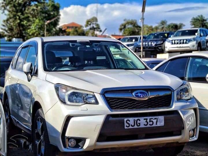 Subaru Forester XT  in Uganda