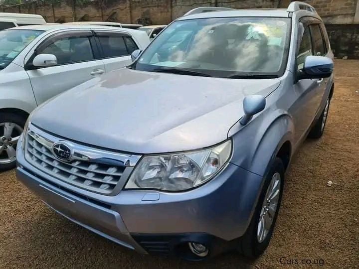 Subaru Forester in Uganda