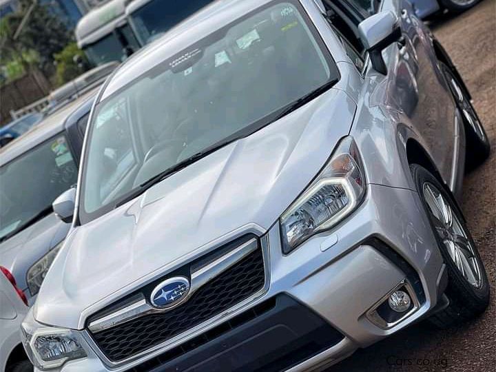 Subaru Forestor XT in Uganda