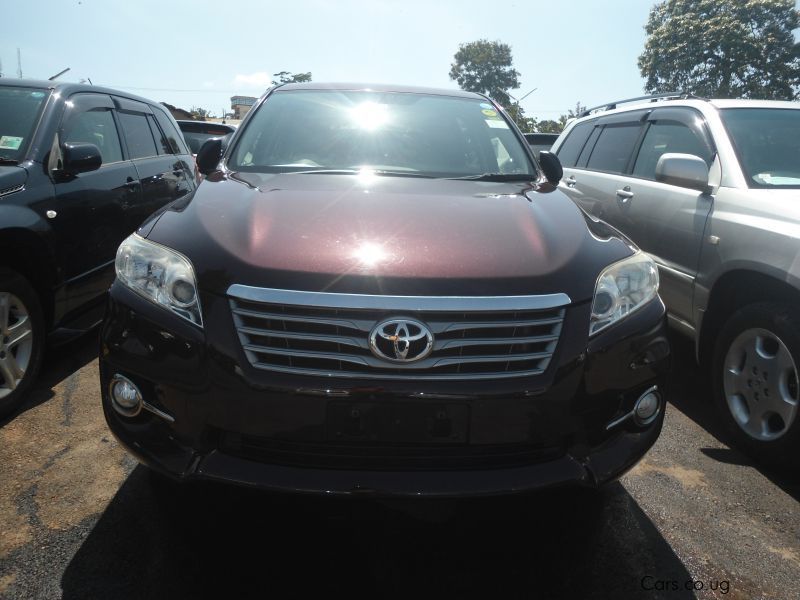 Toyota Vanguard in Uganda