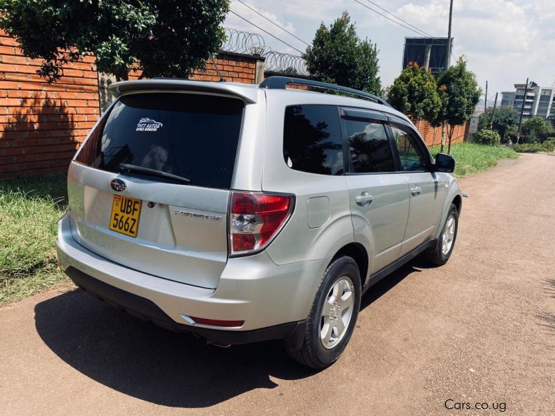 Used Subaru FORESTER non Turbo 2014 FORESTER non Turbo for sale