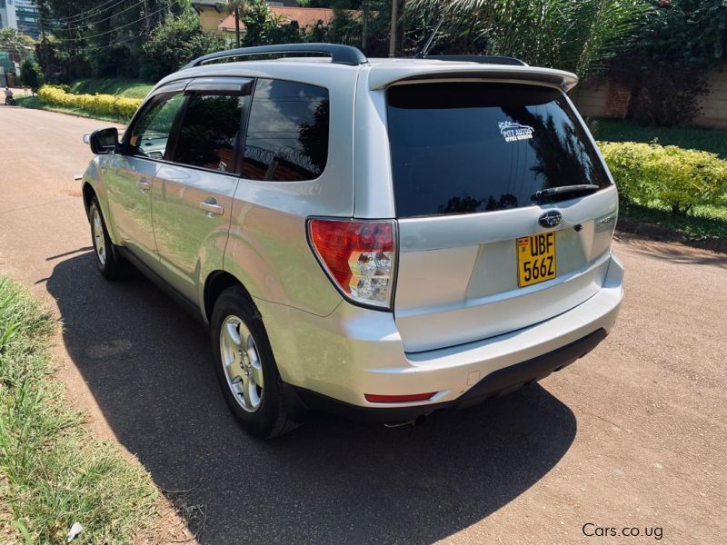 Used Subaru FORESTER non Turbo 2014 FORESTER non Turbo for sale