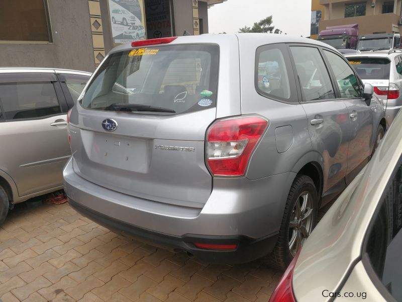 Subaru forester in Uganda