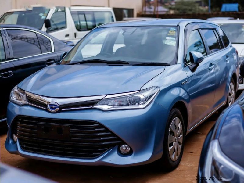 Toyota Fielder in Uganda