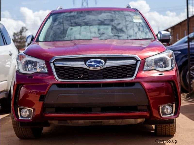 Subaru Forester XT in Uganda