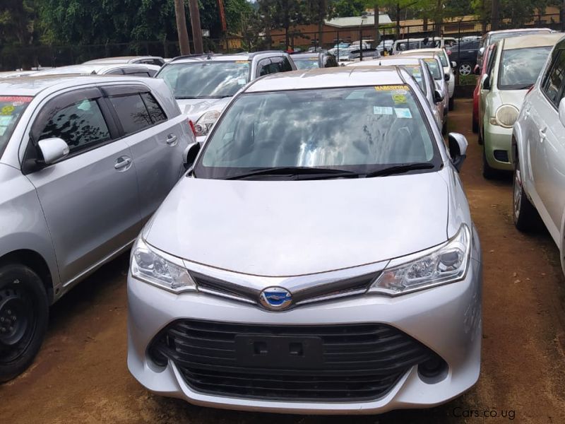 Toyota Fielder in Uganda