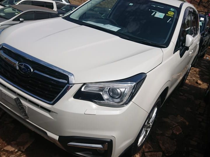 Subaru FORESTER in Uganda