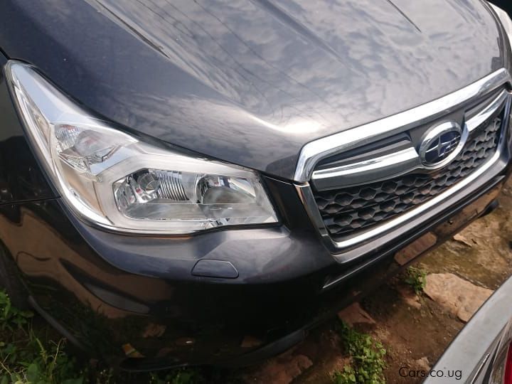 Subaru FORESTER IN GRAY COLOR in Uganda