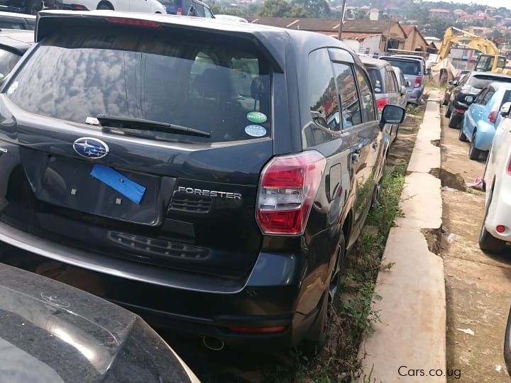 Subaru FORESTER IN GRAY COLOR in Uganda