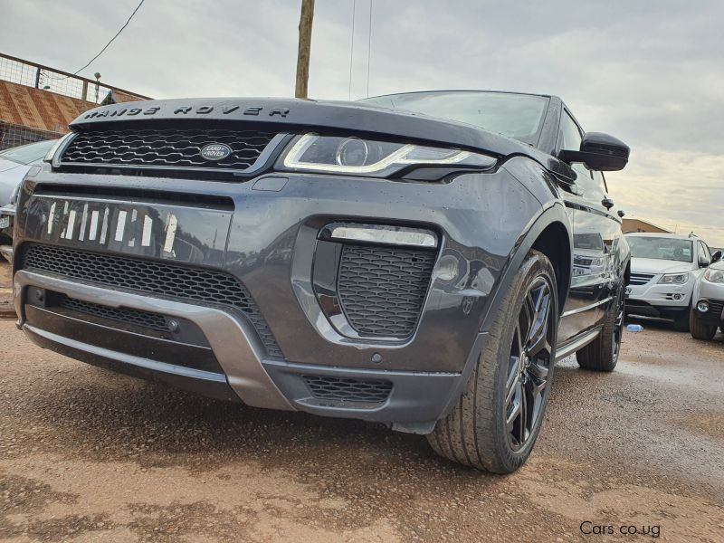 Land Rover Evogue in Uganda