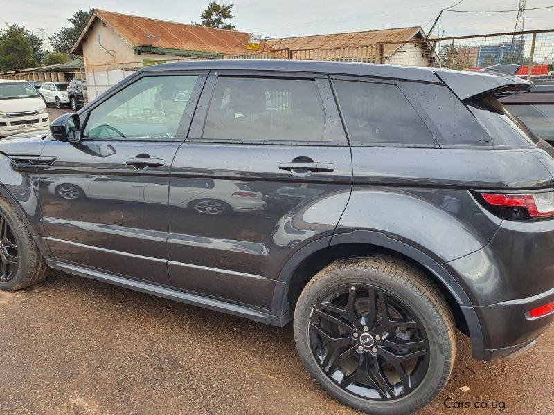 Land Rover Evogue in Uganda