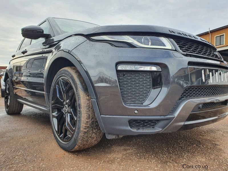 Land Rover Evogue in Uganda