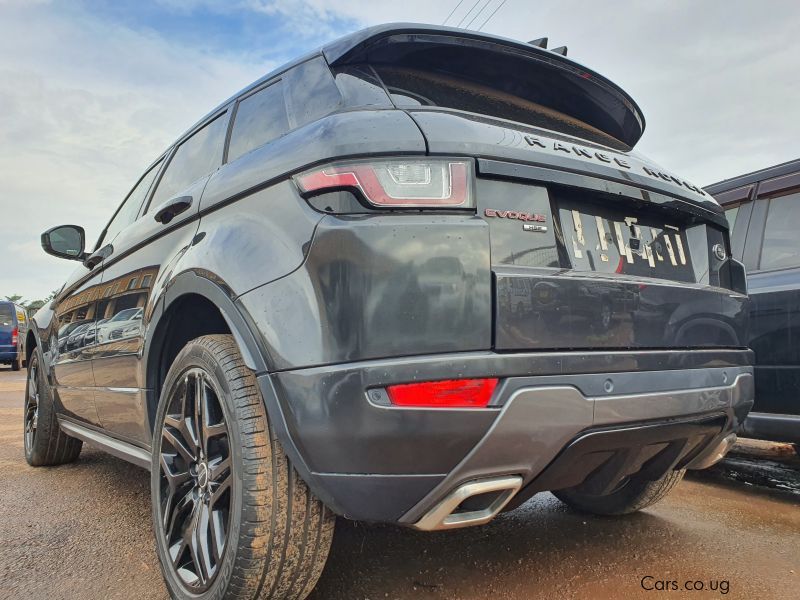 Land Rover Evogue in Uganda