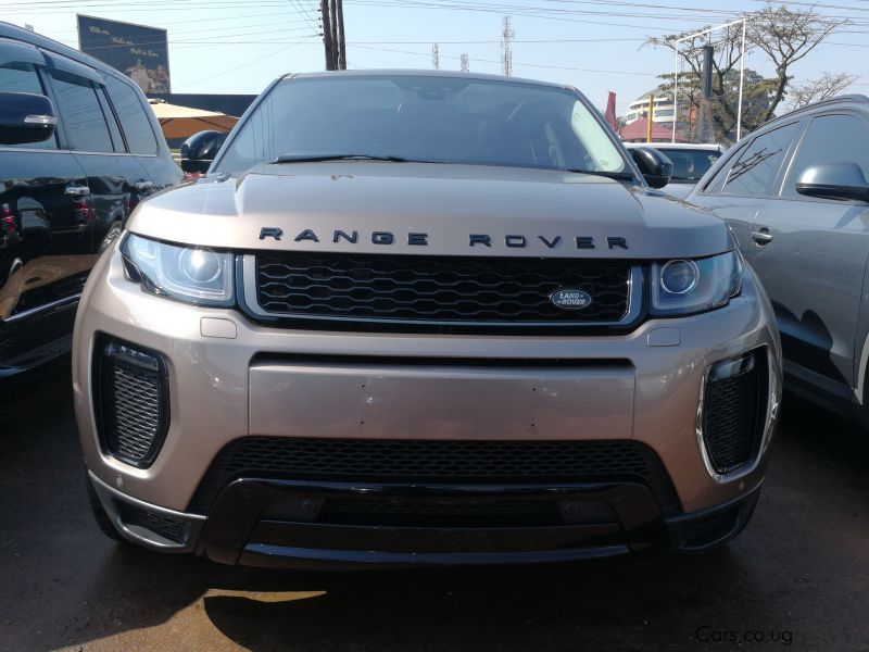 Range Rover Evogue in Uganda