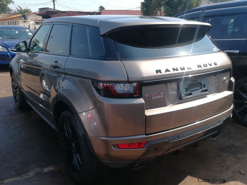 Used Range Rover Evogue 2017 Evogue for sale Kampala Range Rover