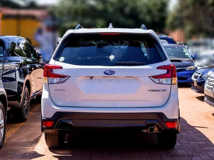 Subaru XT in Uganda