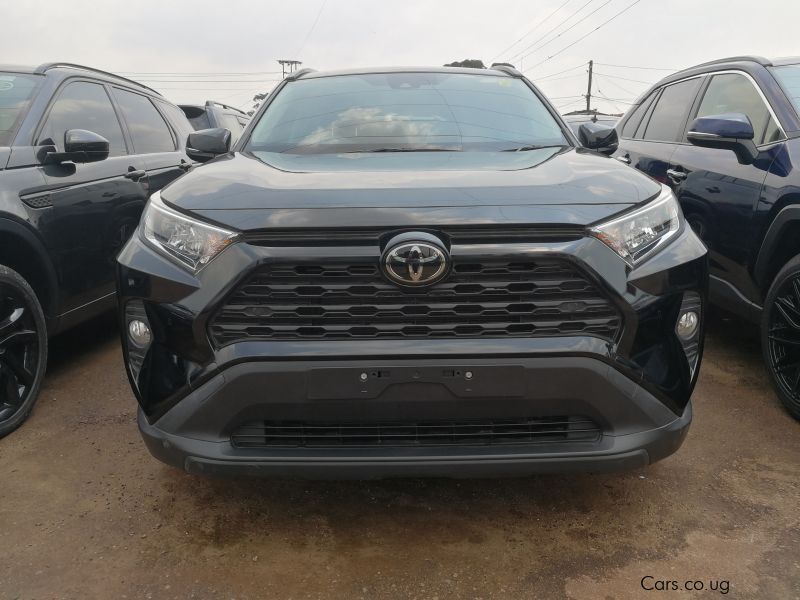 Toyota Rav4 in Uganda