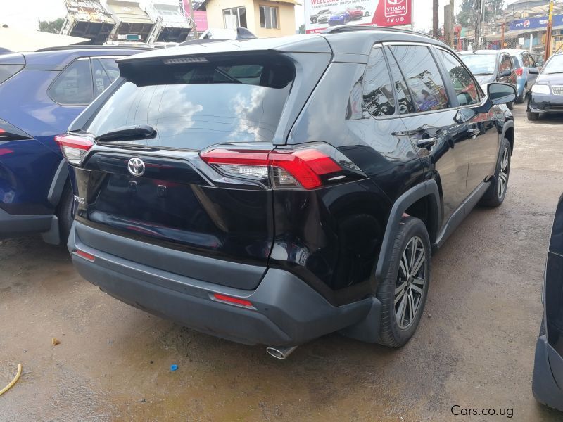 Toyota Rav4 in Uganda