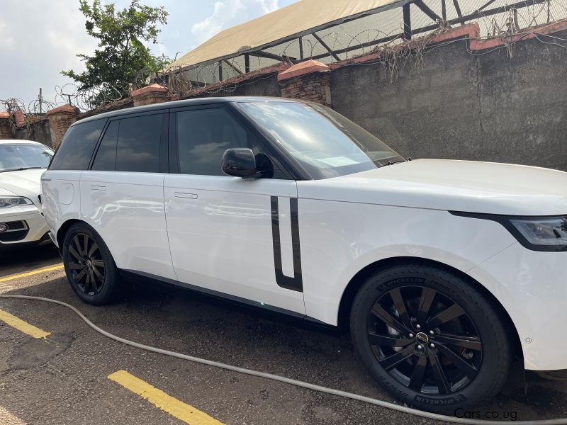 Land Rover Vogue in Uganda