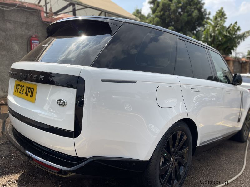 Land Rover Vogue in Uganda