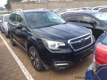 Pre-owned Subaru Forester for sale in 