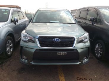 Pre-owned Subaru Forester for sale in 