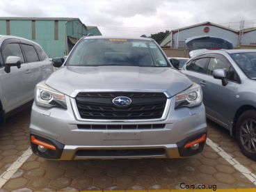 Pre-owned Subaru Forester for sale in 
