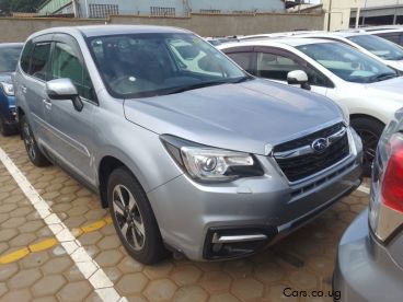 Pre-owned Subaru Forester for sale in 