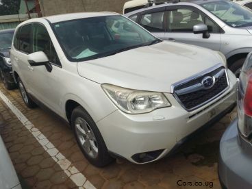 Pre-owned Subaru Forester for sale in 