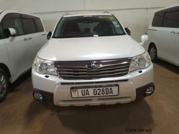 Pre-owned Subaru Forester for sale in 