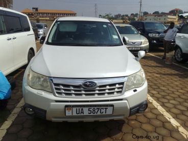 Pre-owned Subaru Forester for sale in 