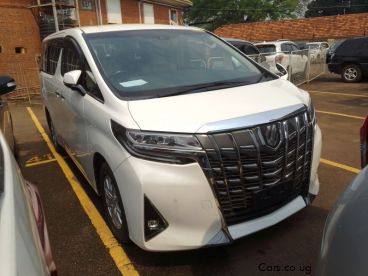 Pre-owned Toyota alphard for sale in 