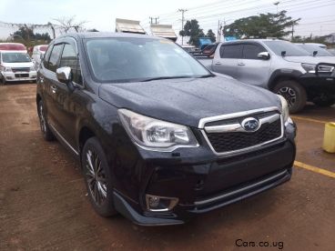 Pre-owned Subaru Forester for sale in 