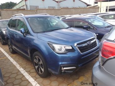Pre-owned Subaru Forester for sale in 