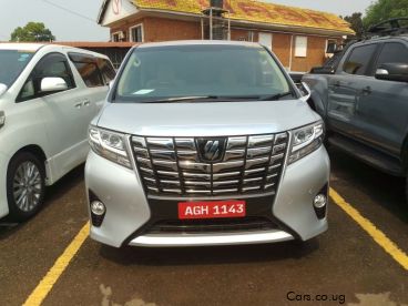 Pre-owned Toyota Alphard for sale in 