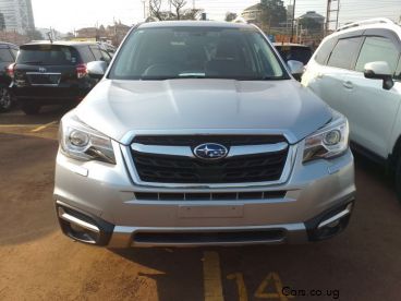 Pre-owned Subaru Forester for sale in 