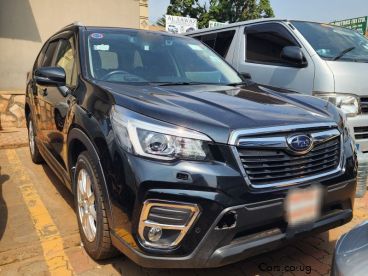 Pre-owned Subaru Forester for sale in 