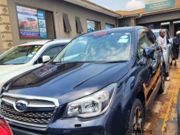 Pre-owned Subaru Forester for sale in 