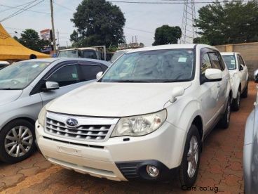 Pre-owned Subaru Forester for sale in 